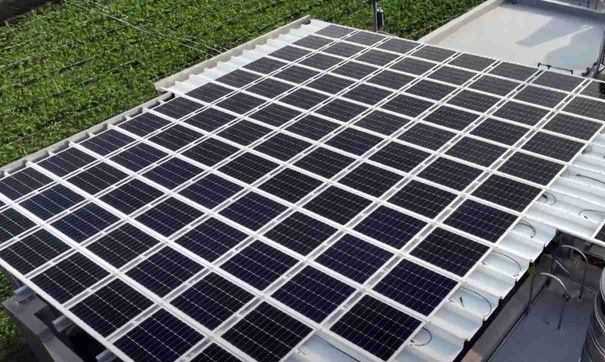 z6mg·人生就是博SunSteel光电浪板升级双玻结构，，，，以提升机械负载强度及气候耐候度，，，，可广泛运用于多元场域