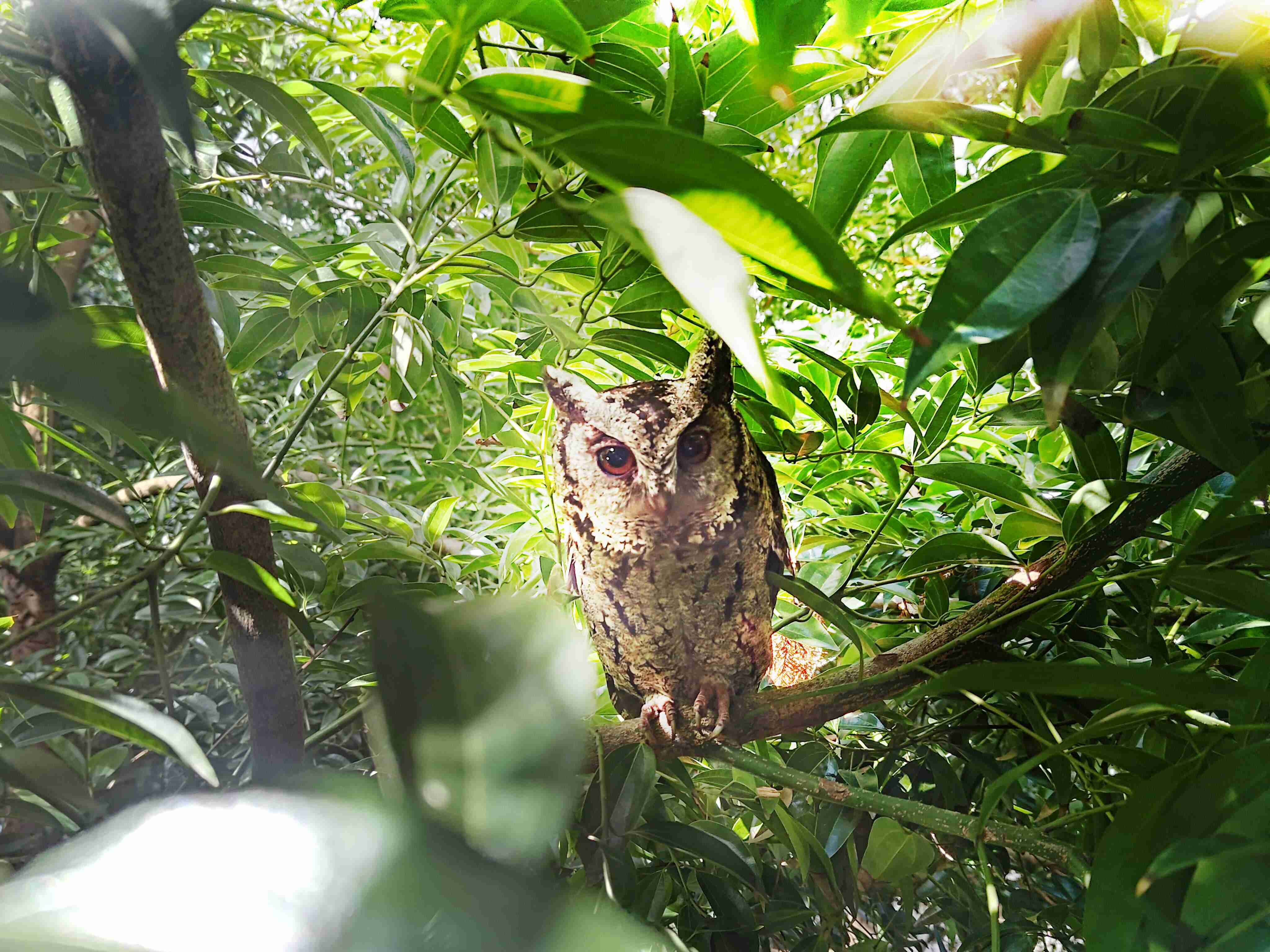 z6mg·人生就是博致力提倡净零绿生活，，，，16年以来在全球各厂区植树逾百万棵，，，造就各厂区树木蔚然成林，，犹如森林工厂，，，成为许多生物的栖息地